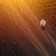 Digital crop protection from disease and pest plants