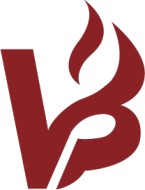 Vulcan Bioenergy